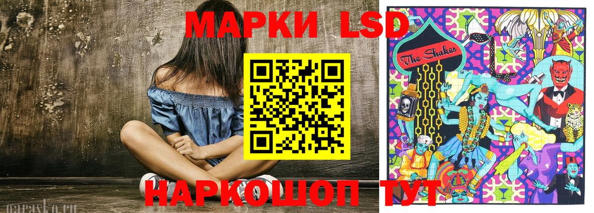 как найти закладки  Вход с VPN  Ефремов  Марки NBOMe 1,5мг 